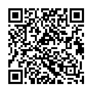 几乎是如同海洋一样覆盖了望沙城内城和外城之间的空间二维码生成
