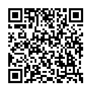 几乎有十分之一的人类都感染了这种恐怖的瘟疫二维码生成