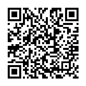 几乎有百分之九十九的低阶光明圣师都已经检测过血液二维码生成