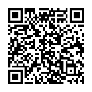 几乎朱平安身上的每一个伤痕都有一个救自己的故事二维码生成