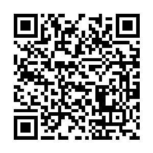 几乎每一个人的眼底都露出了一抹无比阴郁的光芒二维码生成