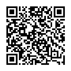 几乎每一只处于这个时期的纯血真龙都是这个样子的二维码生成