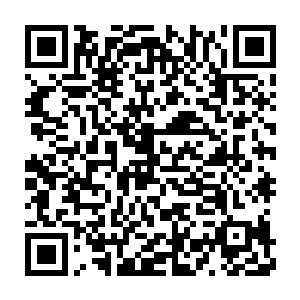 几乎每一次都有能够引起那些主神级家族都要为之心动的珍贵之物二维码生成