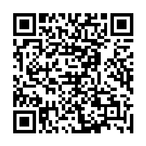 几乎每天晚上他都要上网搜索一会2o1年之前的新闻二维码生成
