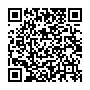 几乎每天晚上她都会在梦境之中在两段人生里来回挣扎着二维码生成