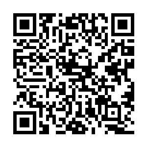 几乎每天都有各方势力的人前来打探关于五阶魔核的消息二维码生成