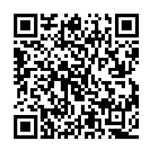 几乎每天都有国服高分路人选手和其他职业选手前来俱乐部面试二维码生成