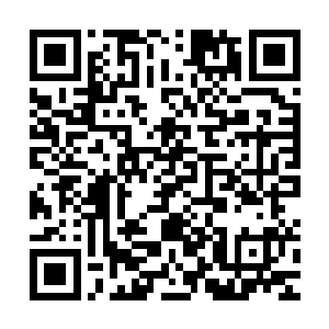 几乎比洪洗象高出一个脑袋的王重楼转身看到闷闷不乐的小师弟二维码生成