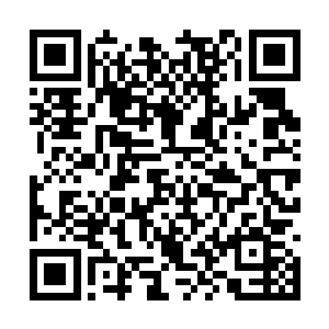 几乎没有任何一个制片人和导演会喜欢这样的演员二维码生成