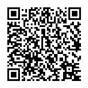 几乎没有几个六级的新人第一次进入地下的时候就敢来这里凝聚战气二维码生成