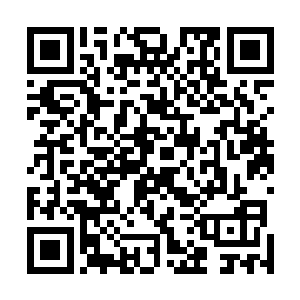 几乎用了片刻的时间直接就跟血狱怪物的大军交上疯锋了二维码生成