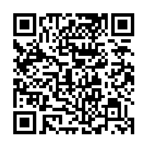 几乎用全部的神魂之力集中在了自己后肩上的黑桃花上二维码生成