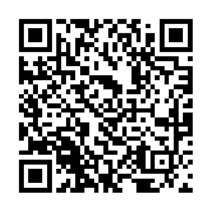 几乎瘫坐在沙发椅里面坐没坐相的林东也同时跳起来二维码生成