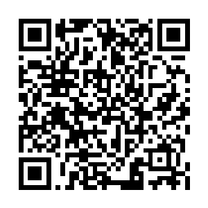 几乎百分之八十的人都认定是你下的强拆命令呢二维码生成