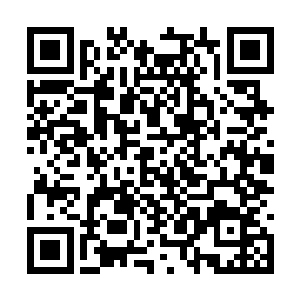 几乎笼罩住半边身体的弧形震荡盾牌激荡到了极限二维码生成