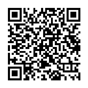 几乎要人扶着才能站起的愤怒顿时扫了熊孩子一眼二维码生成