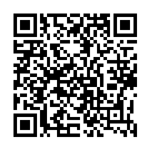几乎让在场诸多妖圣都露出忌惮甚至恐惧之色的绿袍老者二维码生成
