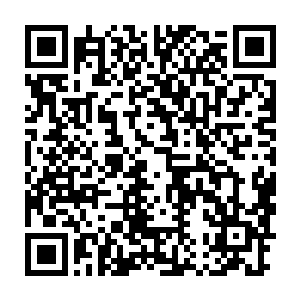 几乎连捕捉它的飞行轨迹都不可能的……自然也是非常容易被人忽视的二维码生成