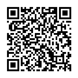 几乎那些苦练二十年内息的高手在精纯度上都不能跟她相比的二维码生成