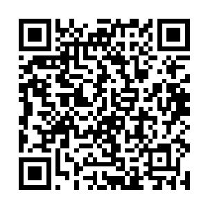 几乎都不进城的直接用水上飞机飞到周围海岛酒店了二维码生成