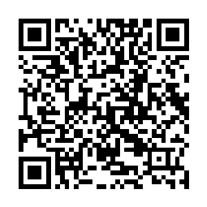 几乎都以为师丝桐是因为斗金城内不许打斗的这些规矩二维码生成