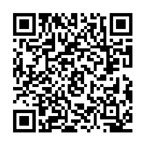 几乎龙天行没提升一个层次都会到那个巨型结界那里去试验一次二维码生成