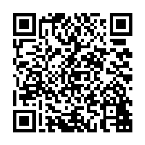 几人用惊恐胆颤的眼神看着眼前这个年轻的不像话的领域强者二维码生成