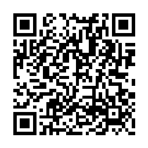 几位勇士是要找两个小公子带的二十来个壮汉吗二维码生成