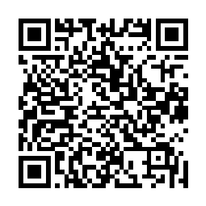几位正在犹豫要不要狐假虎威一番的小领导顿时低眉顺眼了二维码生成