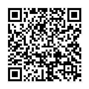 几位混混和太妹模样的人正嬉皮笑脸地接受讯问二维码生成