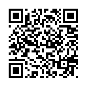 几具干枯的尸骸摇曳在加勒比海风中二维码生成