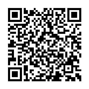 几具鲜血淋漓的尸体正在随着沙子缓慢的流动着二维码生成