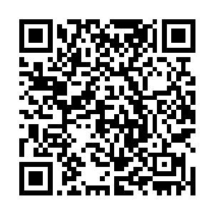 几匹快速向岸边游来的龙驹在几道轰隆隆四溅的水花中二维码生成