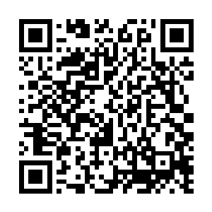 几十万年……精气意志长存……孟奇真真切切地开了眼界二维码生成