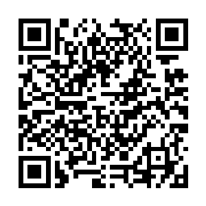 几十个人偶兽才算将地上的白色卵石全部捡拾起来二维码生成