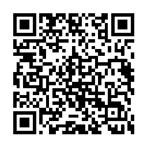 几十人来回走了好几遍也没有现什么可疑的地方二维码生成