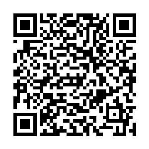 几十只被枪声吓到的大鸟从一些洞穴之中飞了出来二维码生成