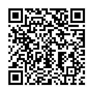 几十名光子组成的镇压大阵就被傀儡王的精神攻击轰得支离破碎二维码生成