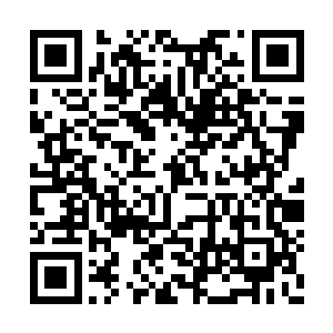 几十根流水般诡异无比的血色粘稠触手瞬息即至二维码生成