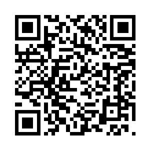 几十步外的树上已经从新吊上了铜钱二维码生成