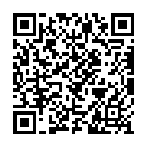 几只乌鸦飞到了正在发生激烈战斗的那片密林里二维码生成