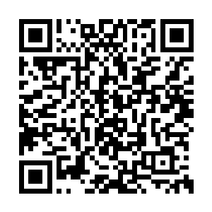 几只埋伏隐藏在灌木丛中的蜘蛛魔刚刚死去……二维码生成