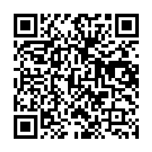 几只妖还沉浸在刚才将季若离逼入危险境地的喜悦之中二维码生成