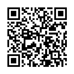 几只鸟儿与卷起的尘埃一同飞上天空二维码生成