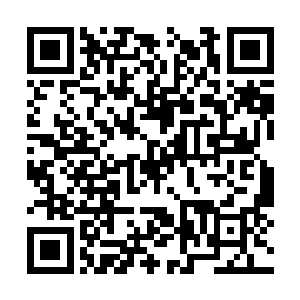 几名九原高层和几小一起凑过来看严默点出的位置二维码生成