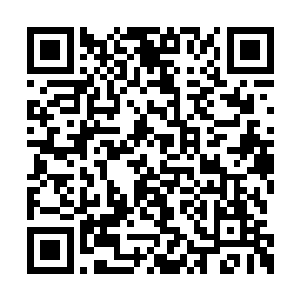 几名刑法殿和执法殿的圣殿长老在杀意沸腾之中二维码生成