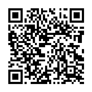 几名宫女自萧黎几个月前回来后开始其实早已习惯二维码生成