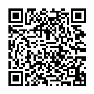 几名被两族青年视作眼中钉的茅家俊彦也颇为硬气二维码生成