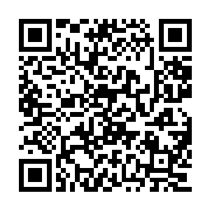 几大宗门居然想越过轩辕大帝插手太夏皇位之争二维码生成