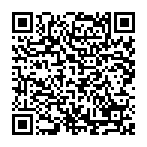 几家华夏大型主流刷机论坛上这款世子试用版系统的下载次数已经超过了10万次二维码生成